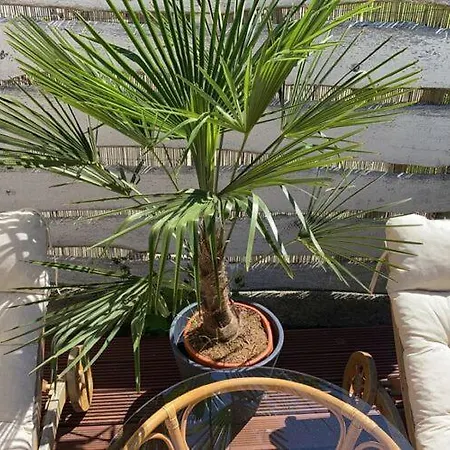 Apartment In The Manor House Silenz, Kluis